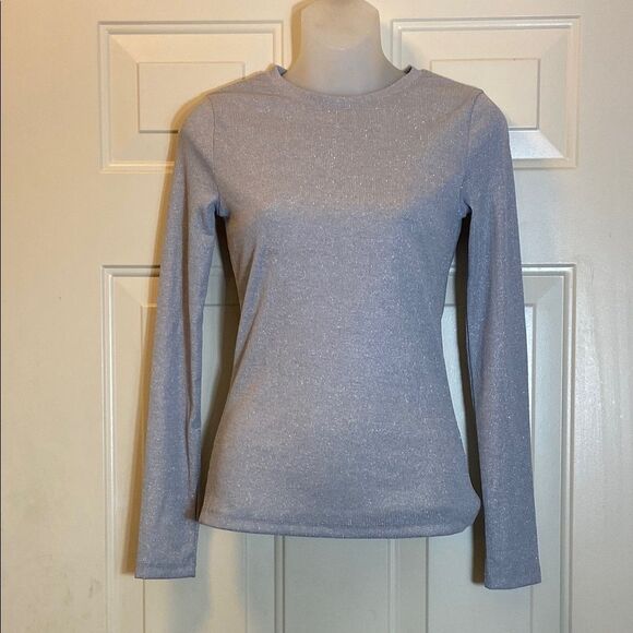 A.new New No Tag Elegant Silver Stretch Long Sleeve Top Size X-Small - Picture 1 of 8